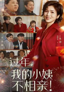 过年，我的小姨不相亲！