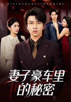 妻子豪车里的秘密