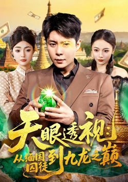 天眼透视:从缅国囚徒到九龙之巅