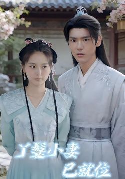 丫鬟小妻已就位