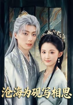 沧海为砚写相思