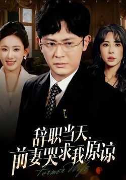 辞职当天：前妻哭求我原谅